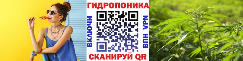 Шишки марихуана MAZAR mega как зайти Оханск
